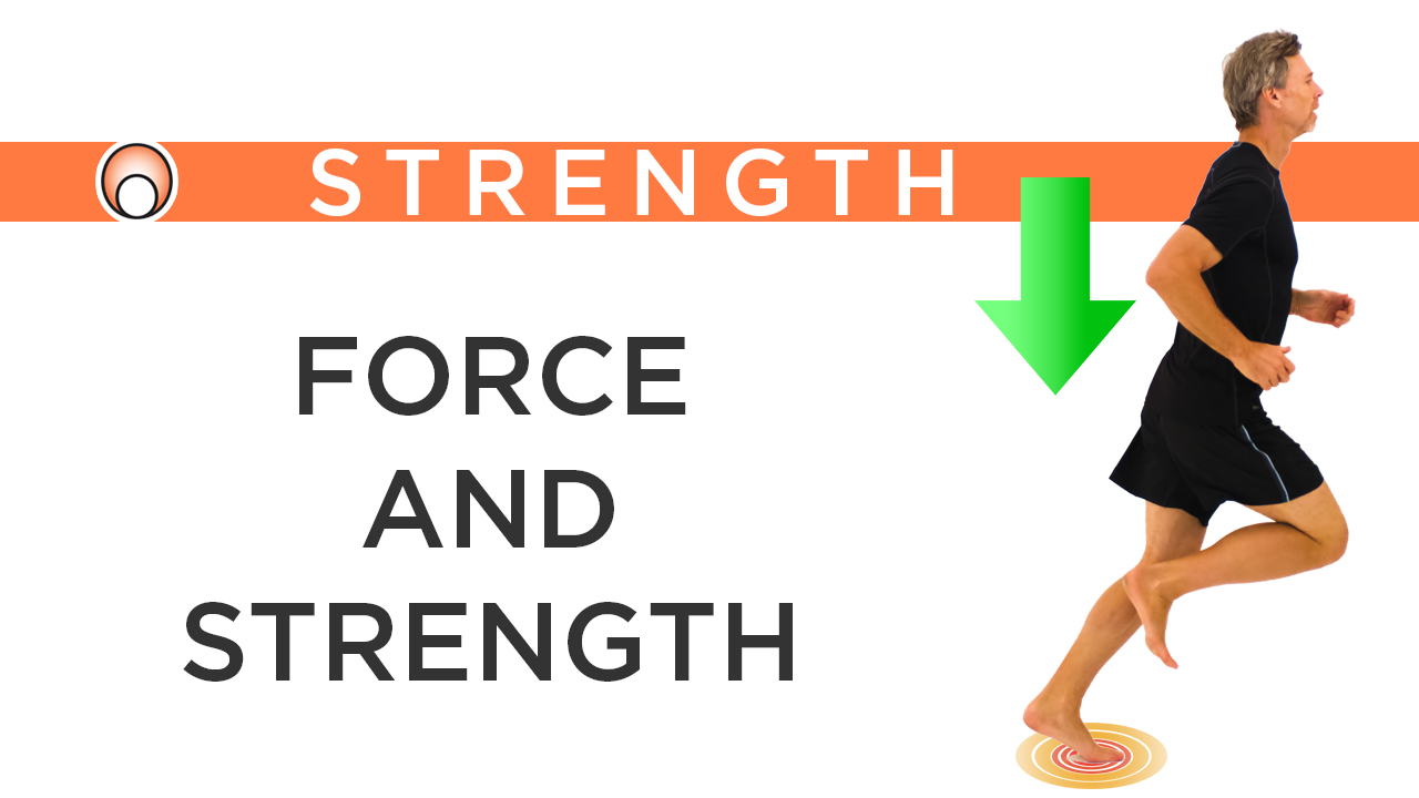 The Relationship Between Force and Strength