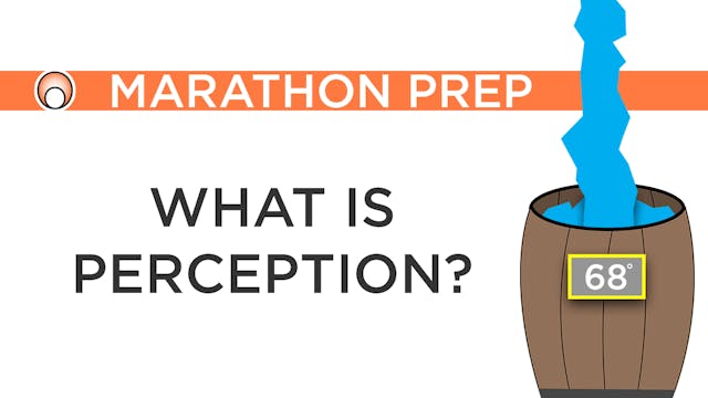 What is Perception?