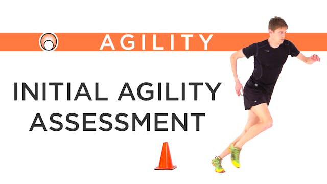 Initial Agility Assessment