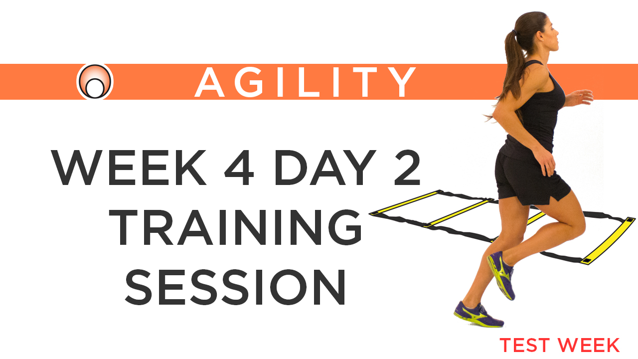 Week 4 Day 2 Training Session