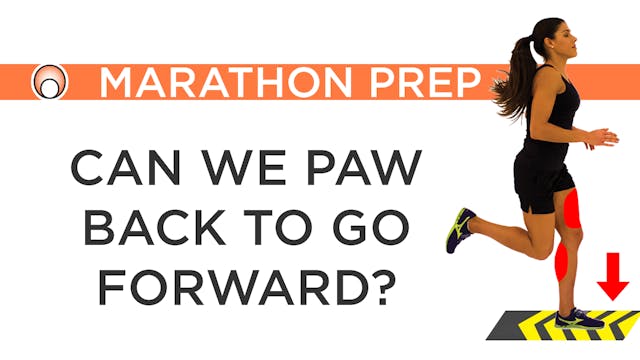 Can we Paw Back to go Forward?