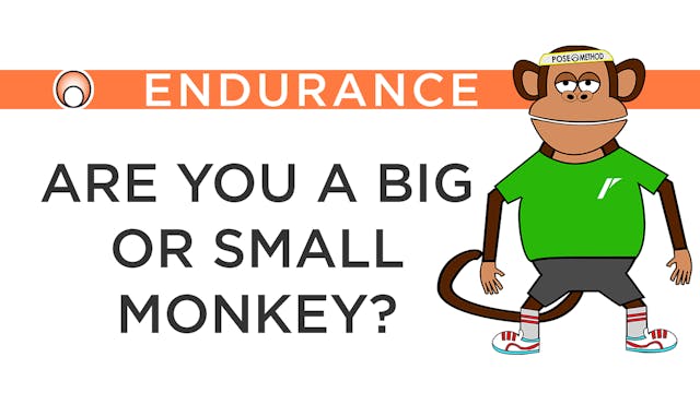 Are you a Big or Small Monkey?