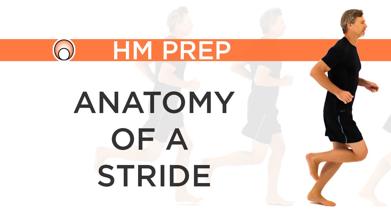 Strides Hand Anatomy of a Stride - Pose Method