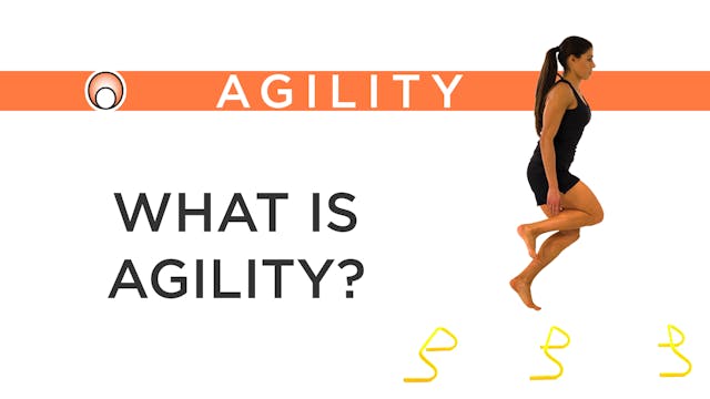 Agility Training - Series Overview - Agility Series - Concepts - Pose ...