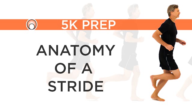 Anatomy of a Stride