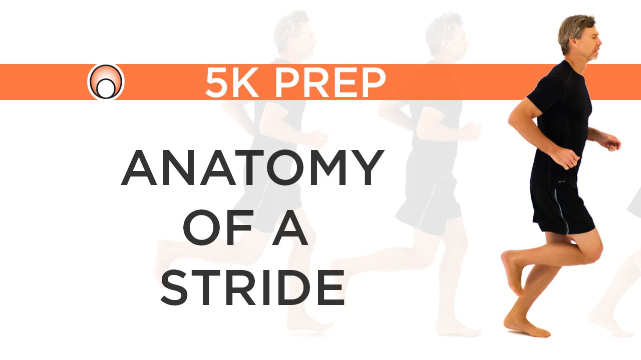 Anatomy of a Stride - Pose Method