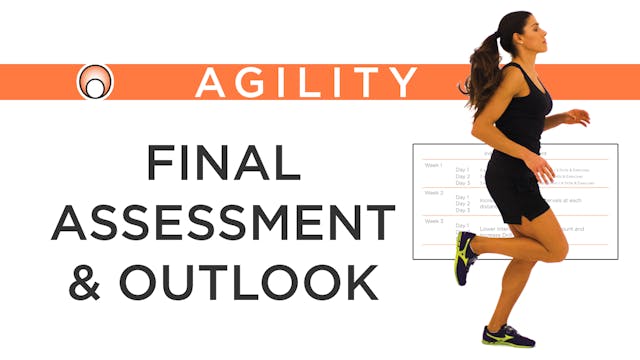 Final Assessment and Outlook