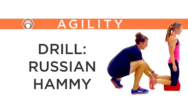 Drill: Russian Hammy