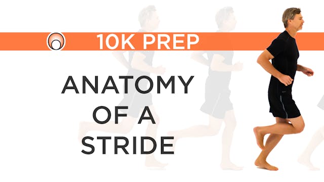 Anatomy of a Stride