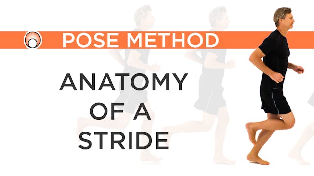 Anatomy of a Stride