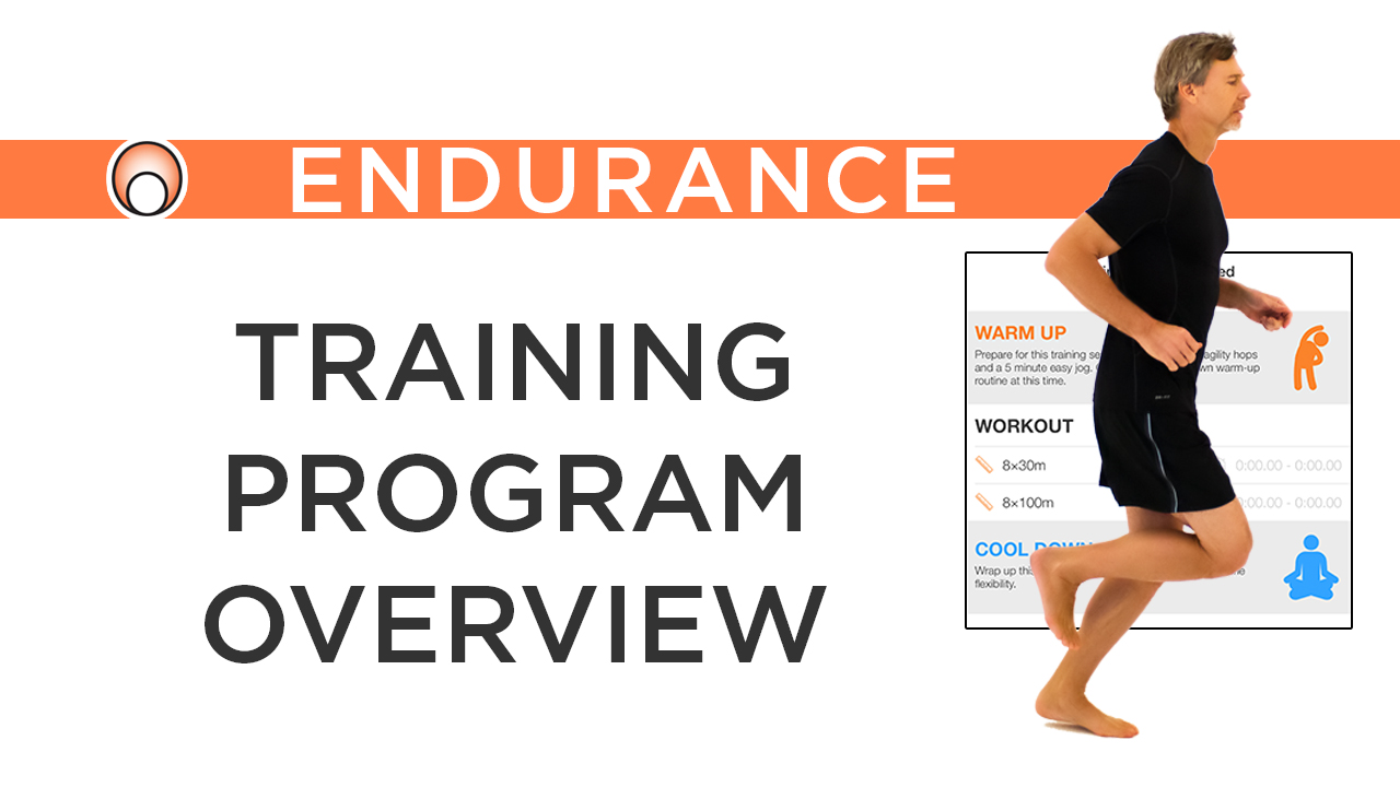 Training Program Overview