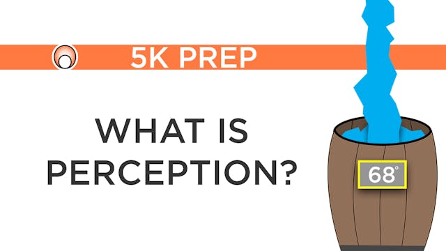What is Perception?