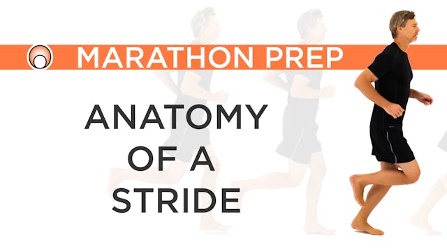 Anatomy of a Stride