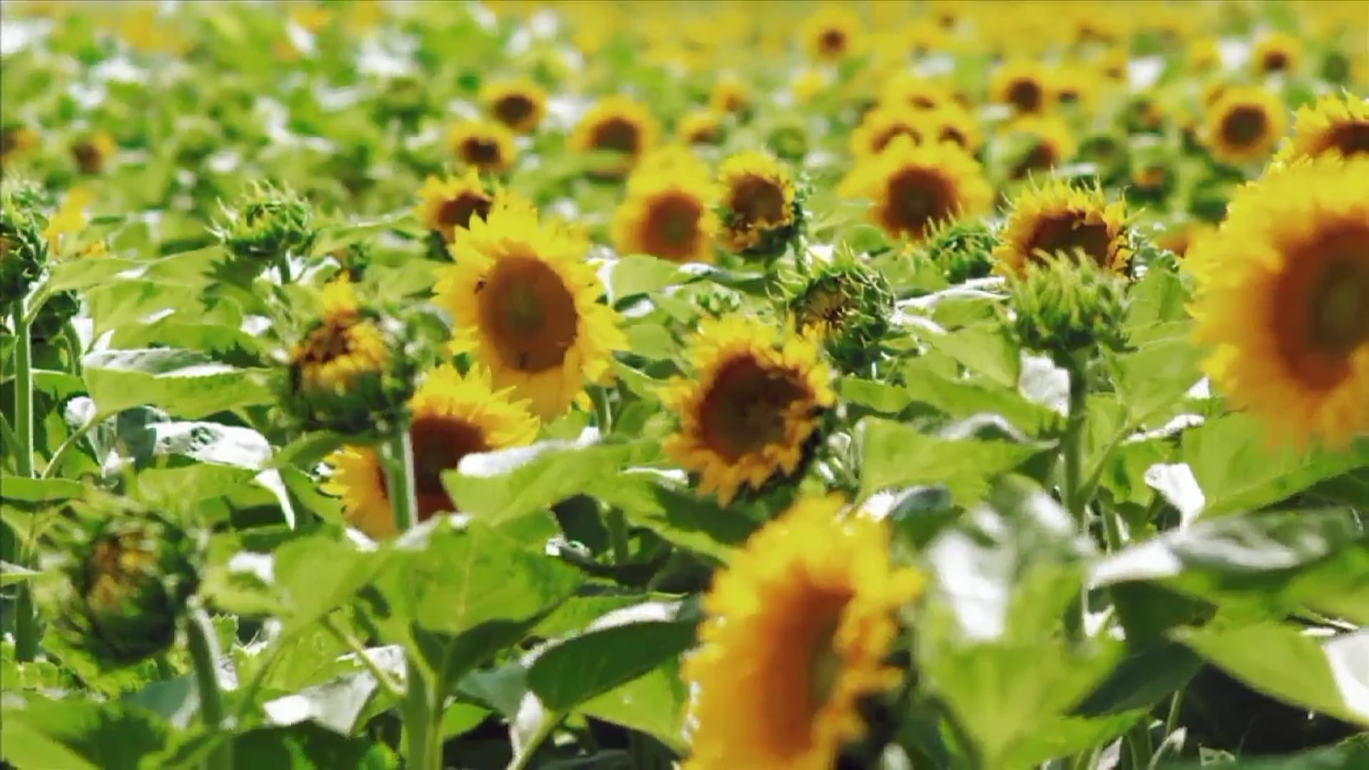 Science_Biochemistry