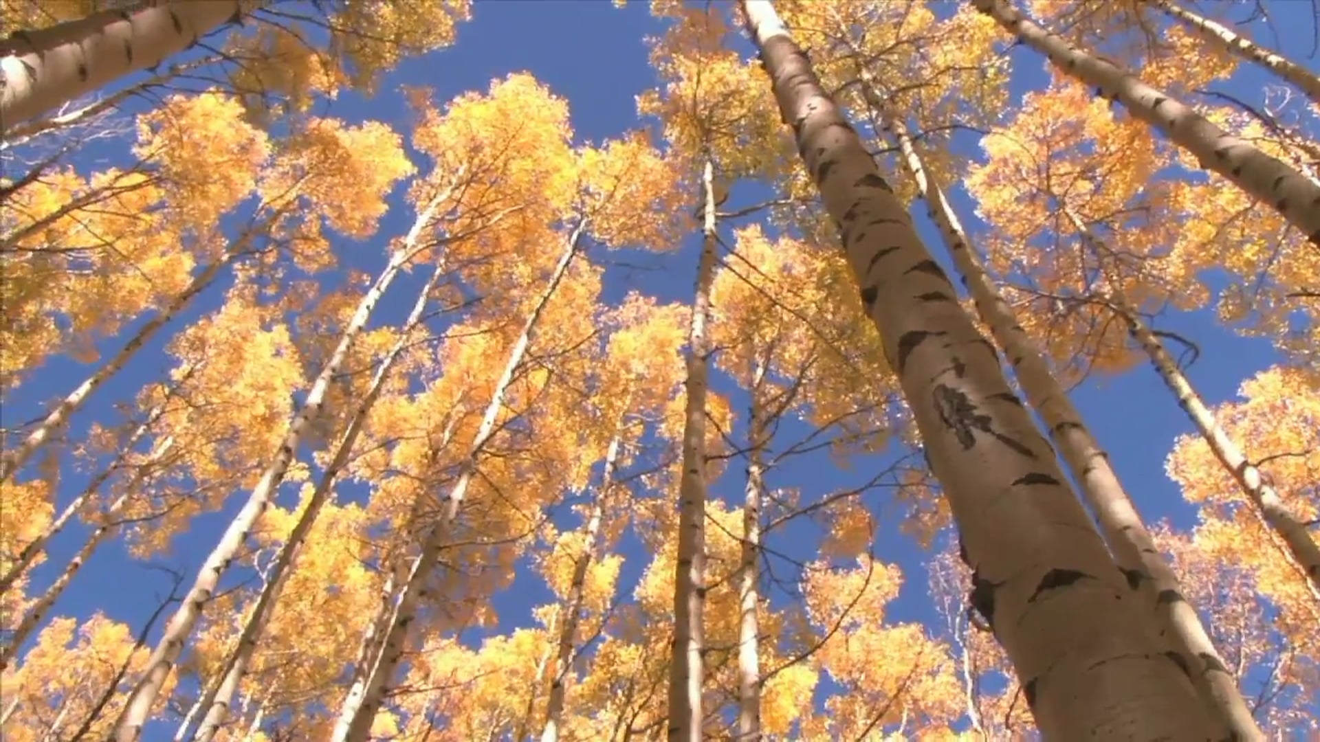 Science_Change of State