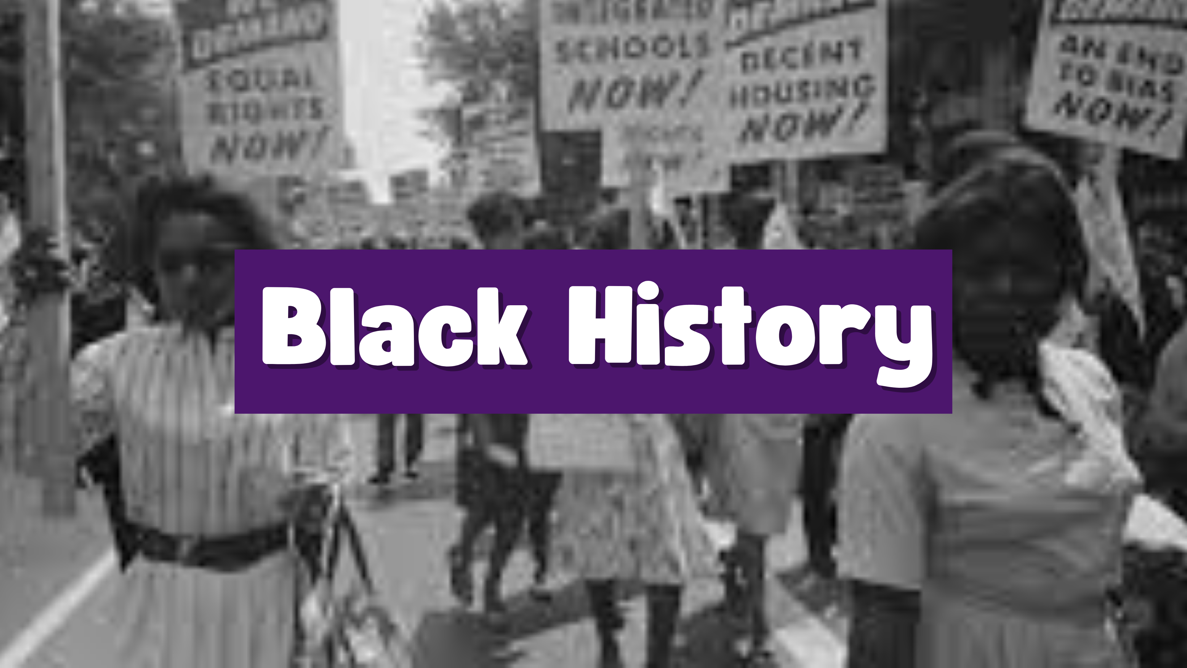 Black History Collection