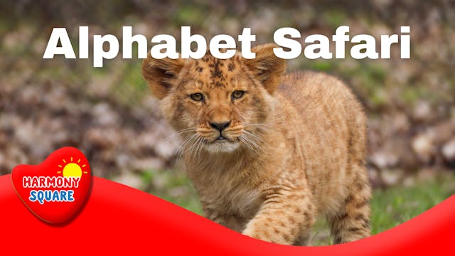 Alphabet Safari