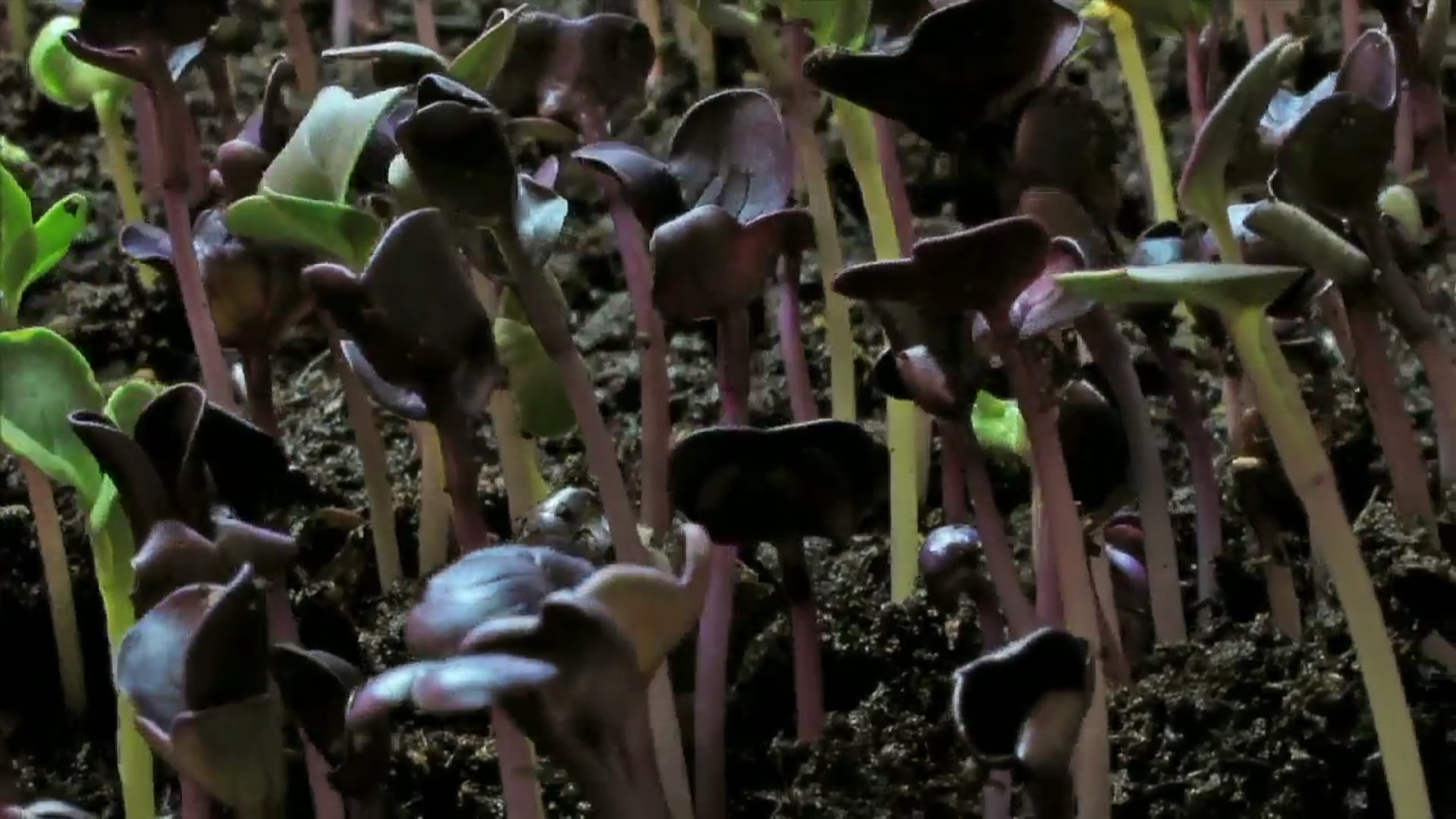 Science_Energía Solar