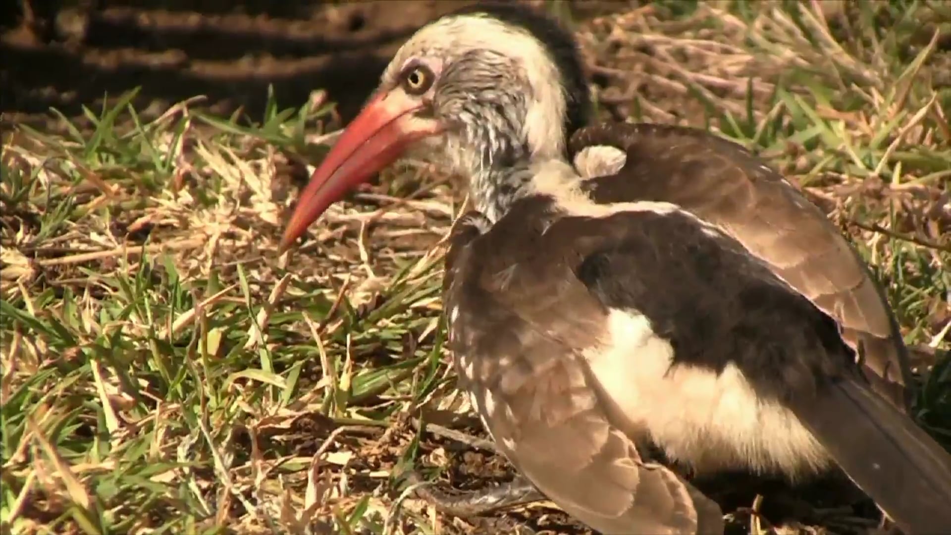 Science_Omnivore 2345