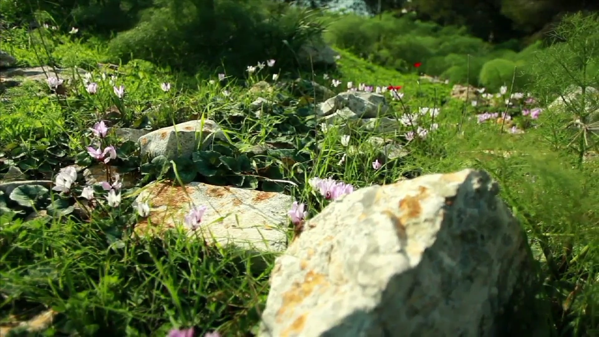 Science_Movimiento de Traslación