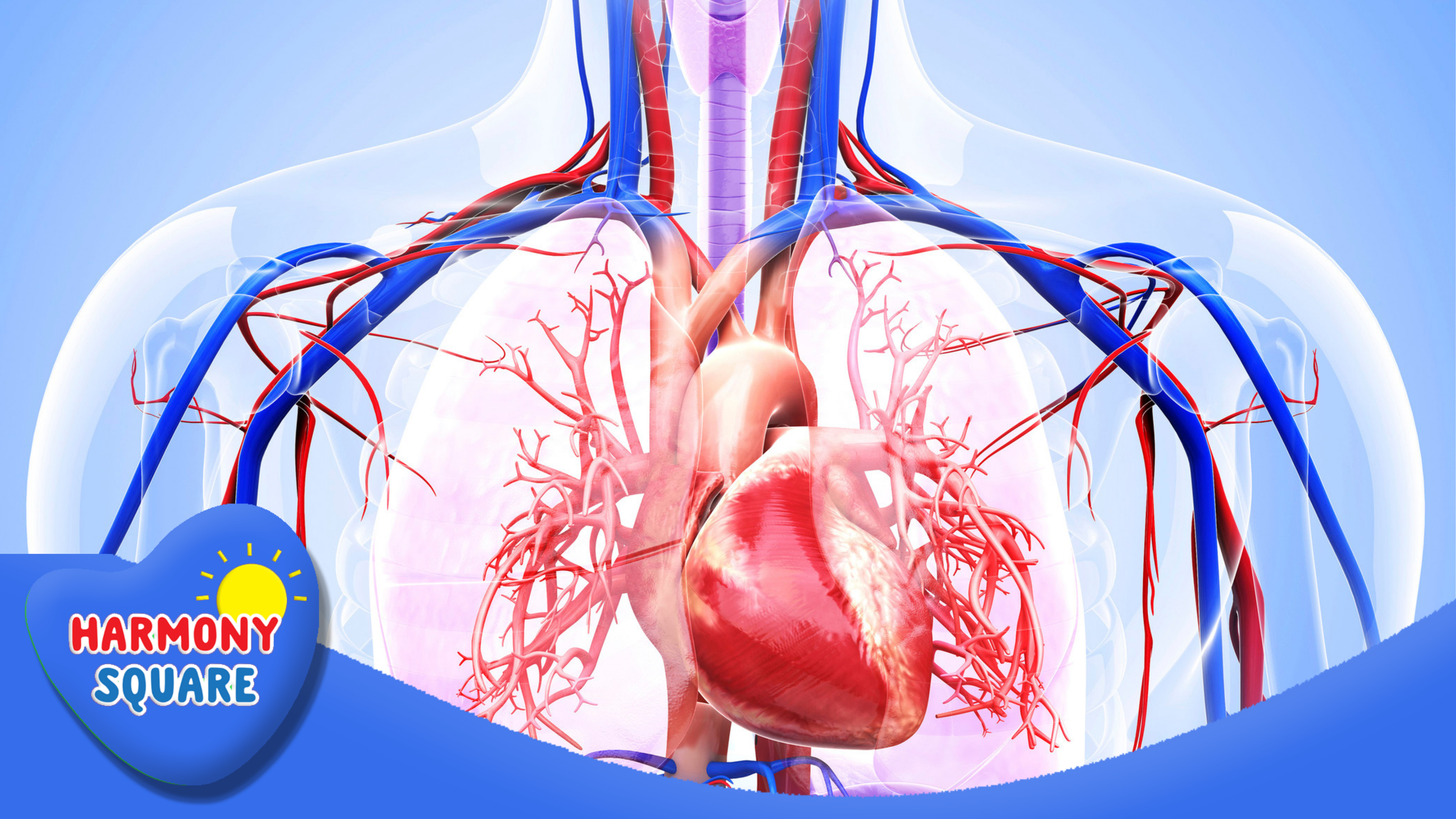 Real World Science: Circulatory & Respiratory System