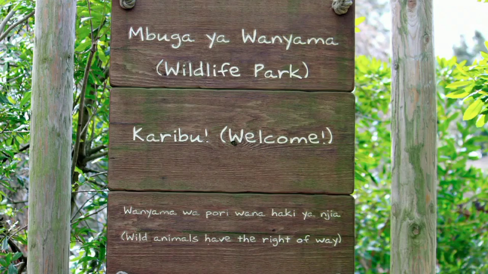 Science_Biological Succession