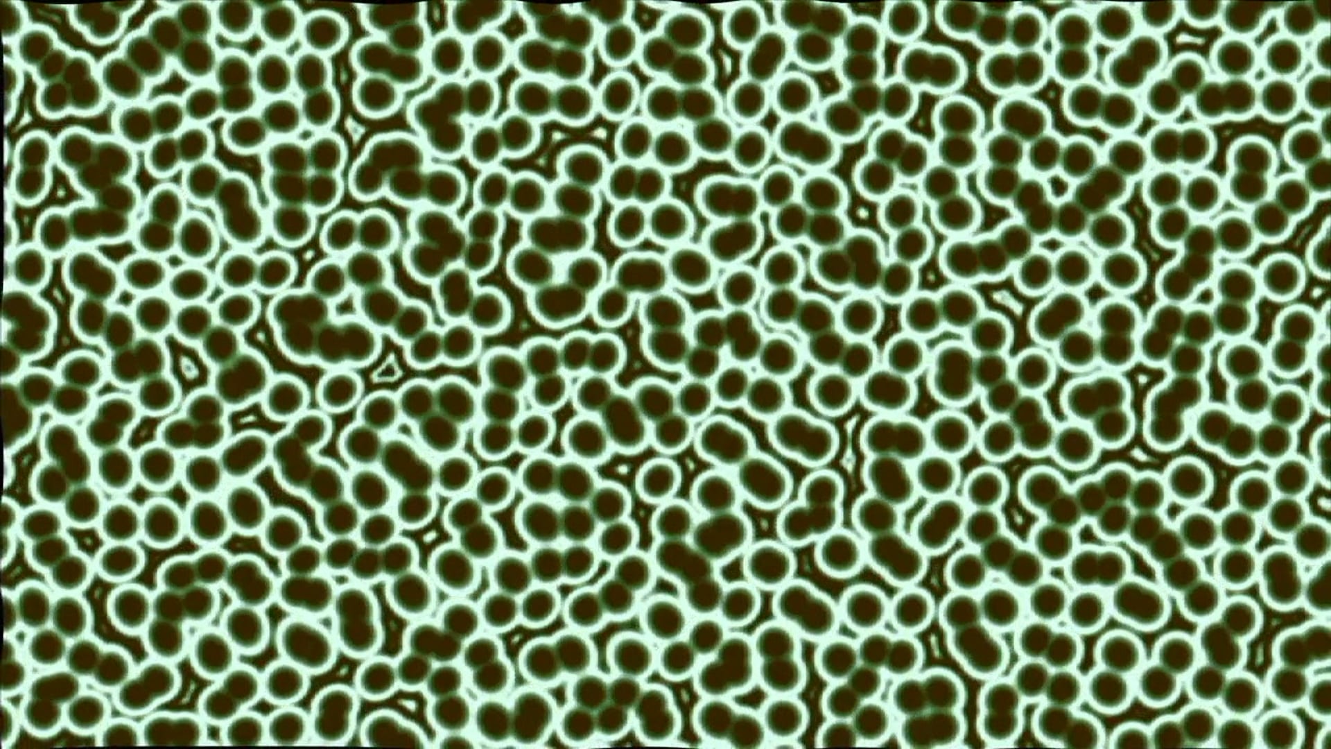 Science_Kingdom Monera