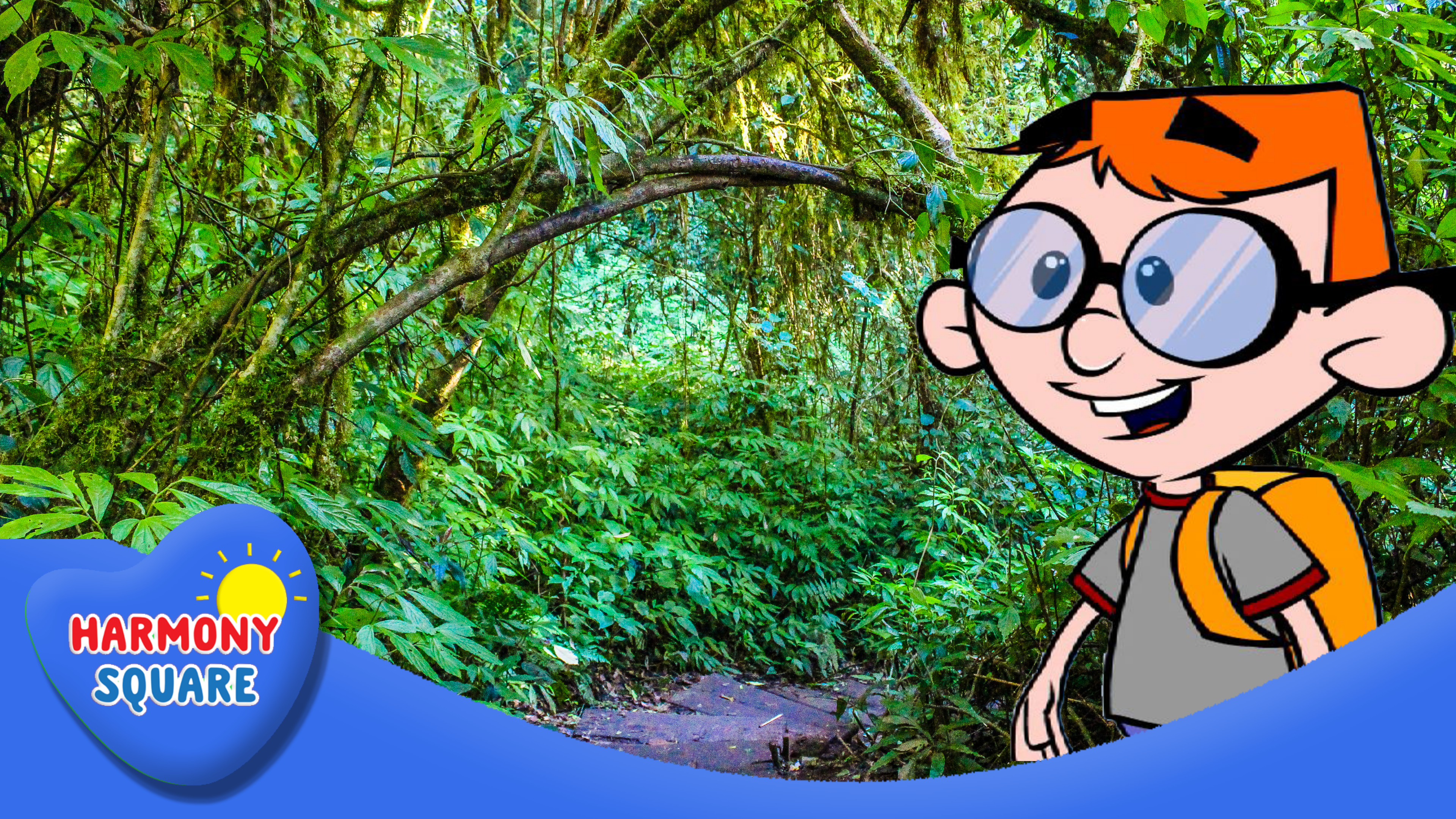 Bailey's Big Back Yard: Rainforest Adventure