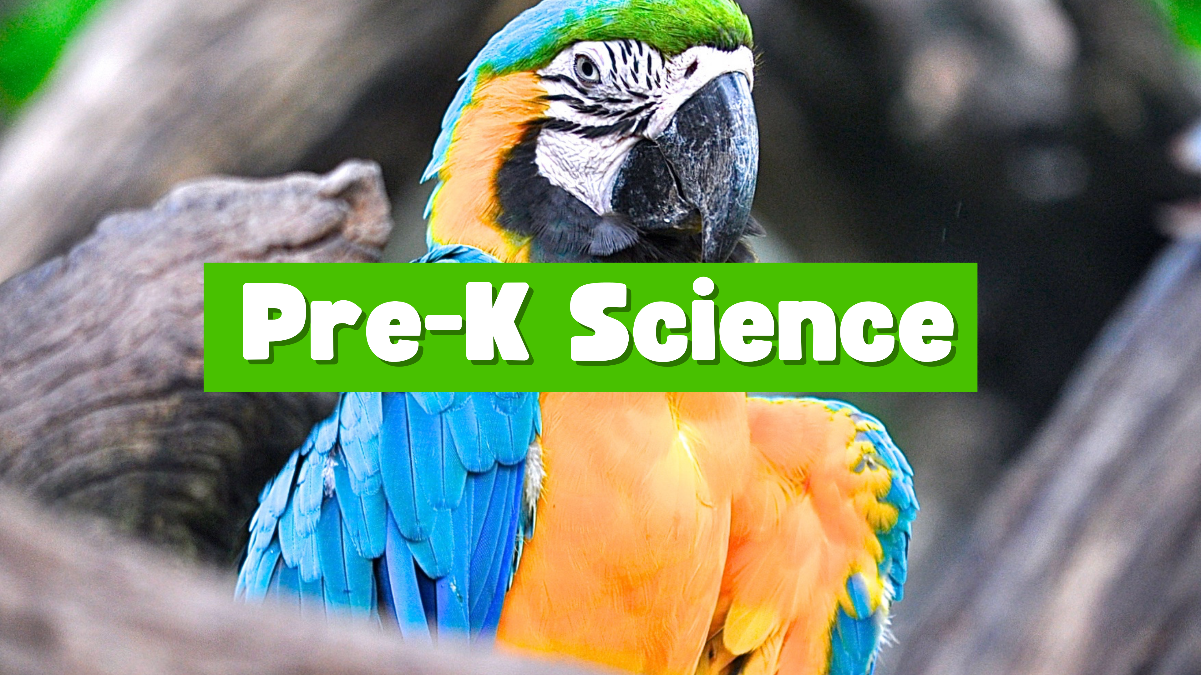 Pre-K Science Collection