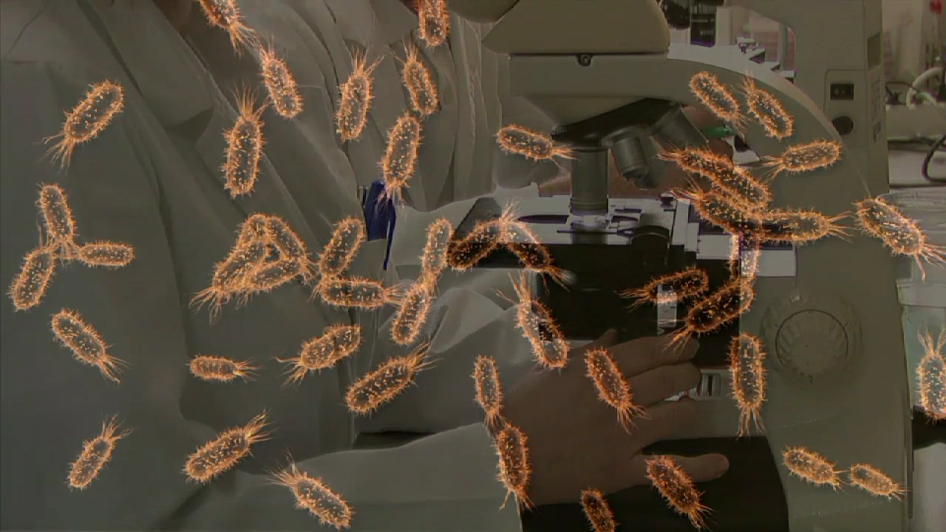 Science_Reino Mónera