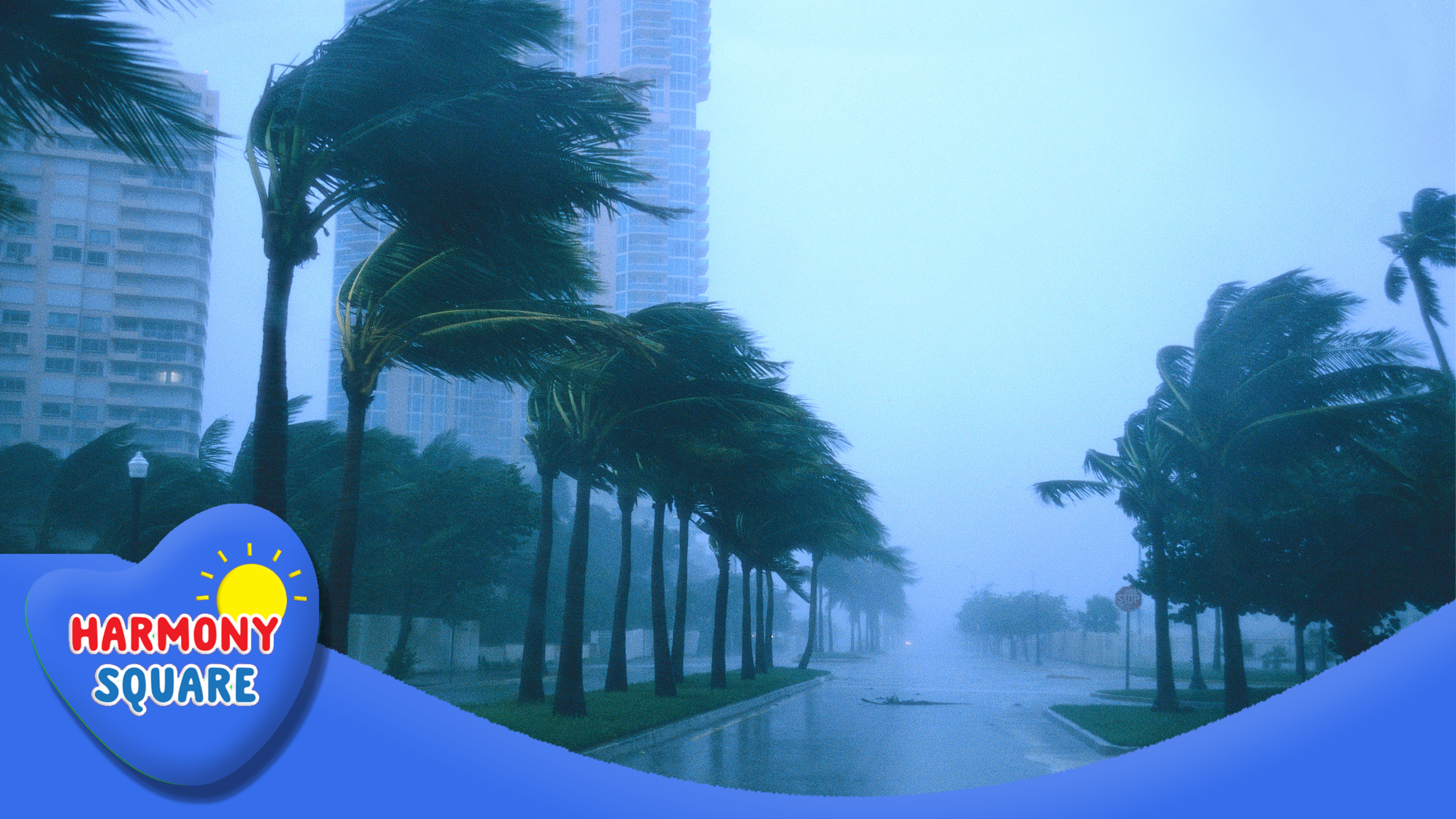 Real World Science: Weather