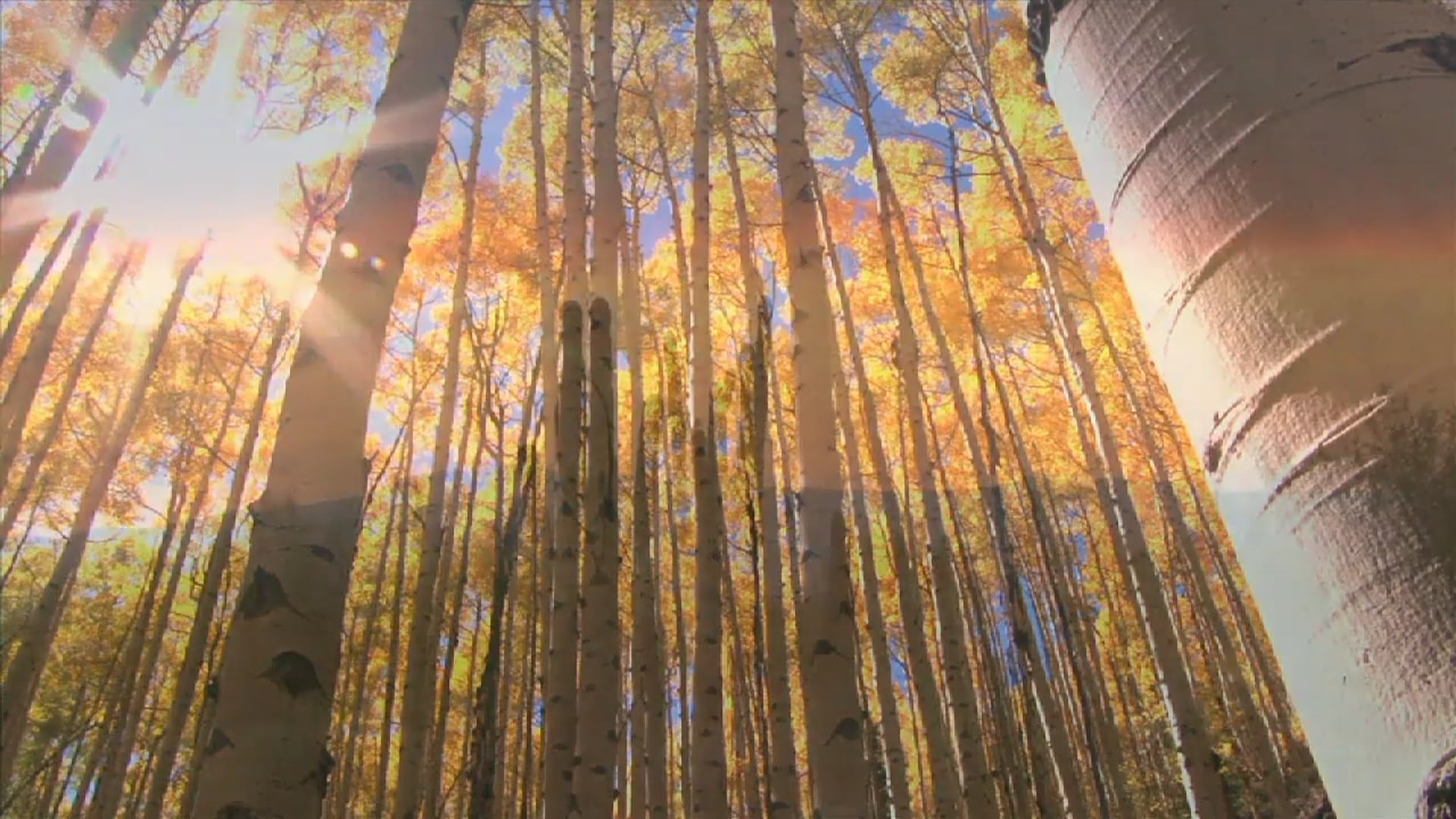 Science_Día y Noche