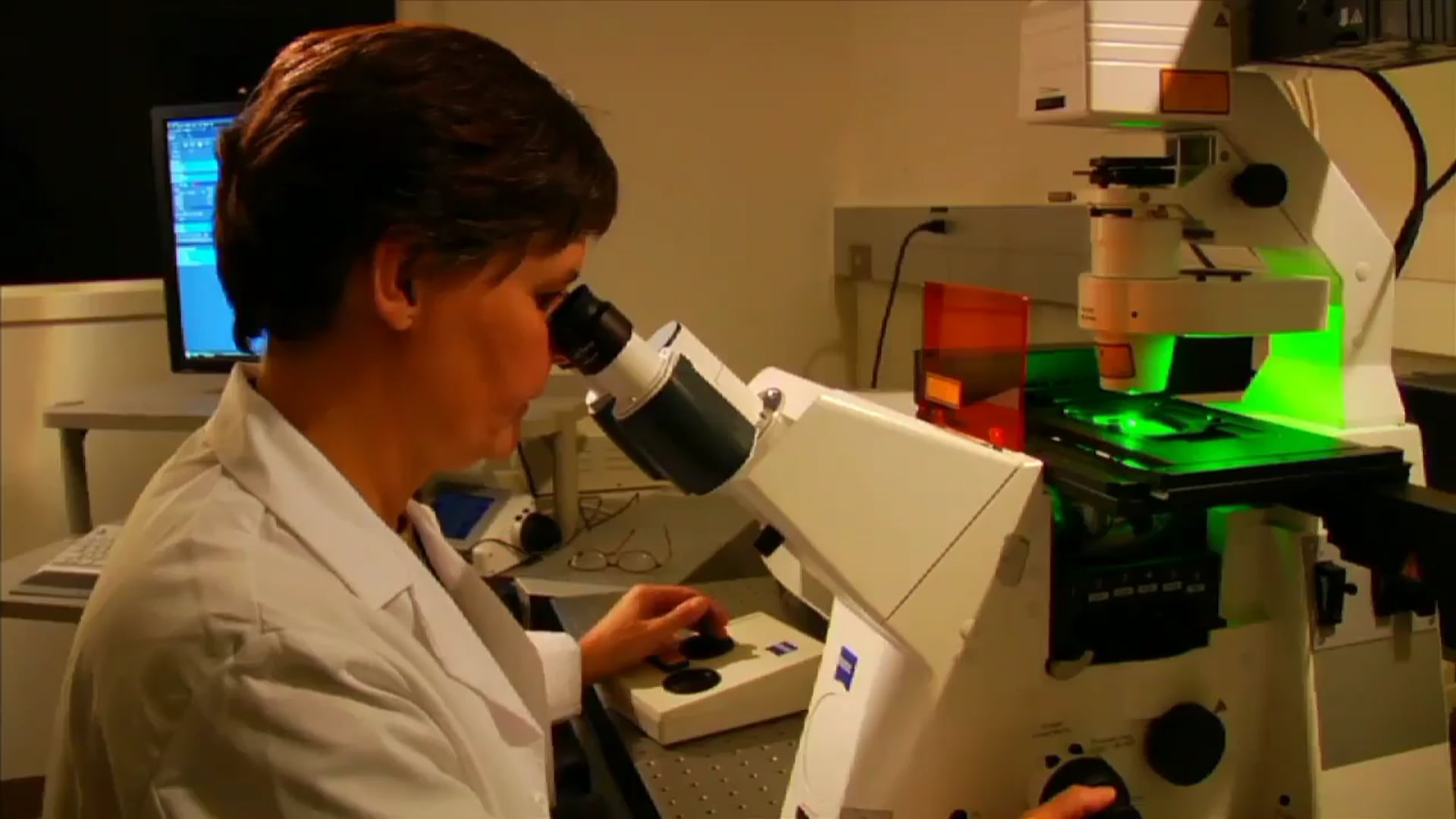 Science_Kingdom Protista