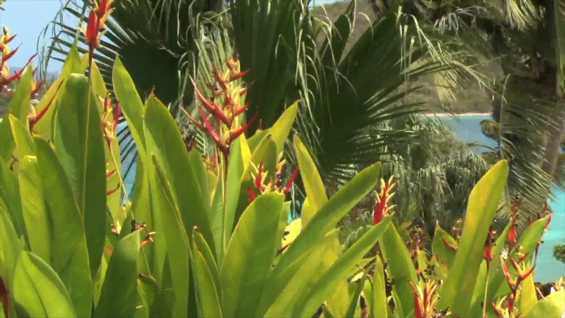 Science_Biodiversidad