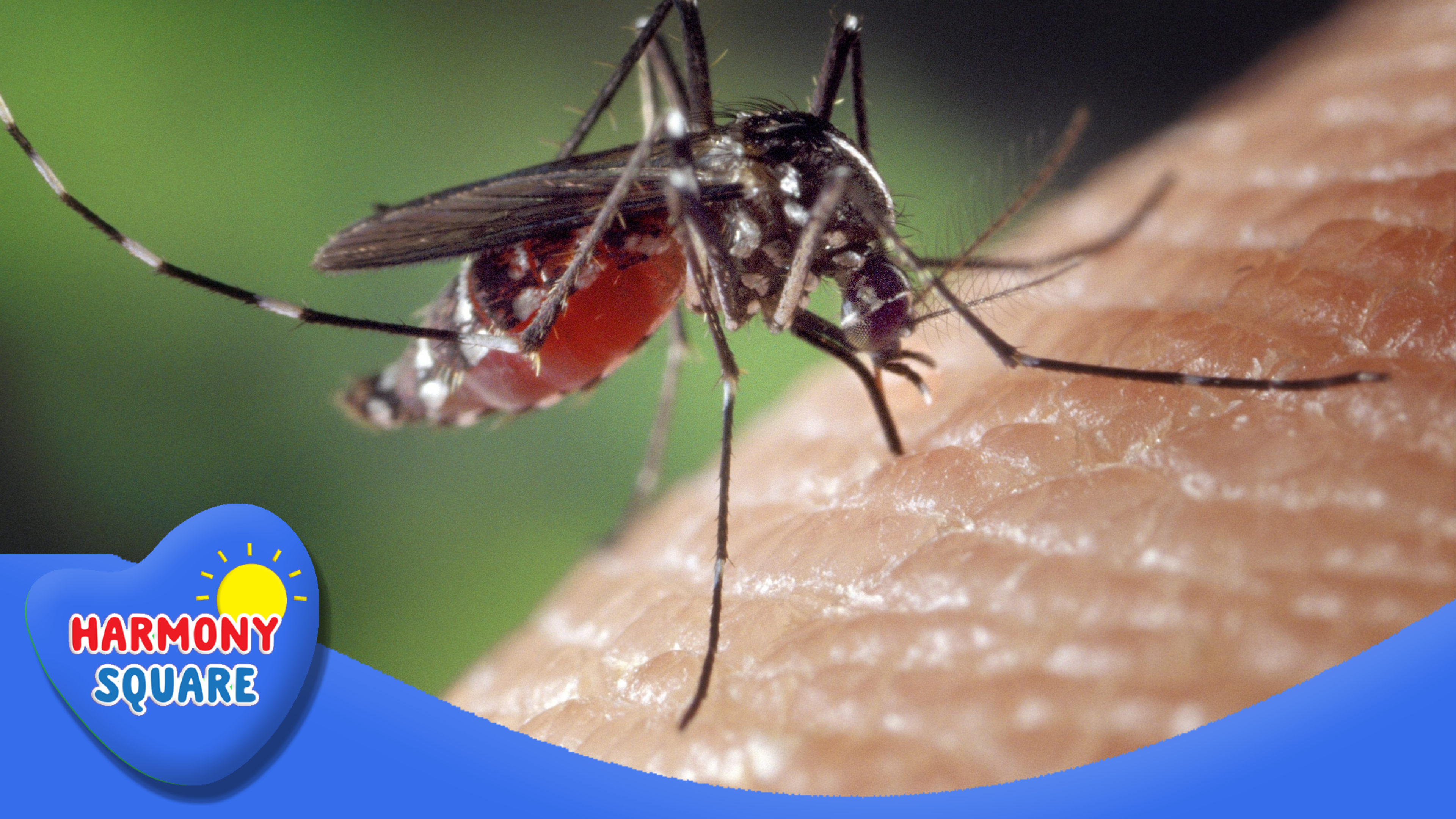 Biological Vectors And Infectious Diseases 