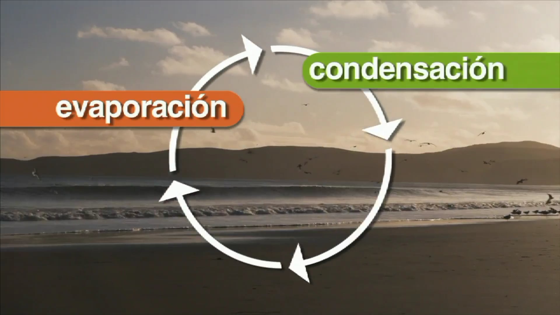 Science_Ciclo del Agua