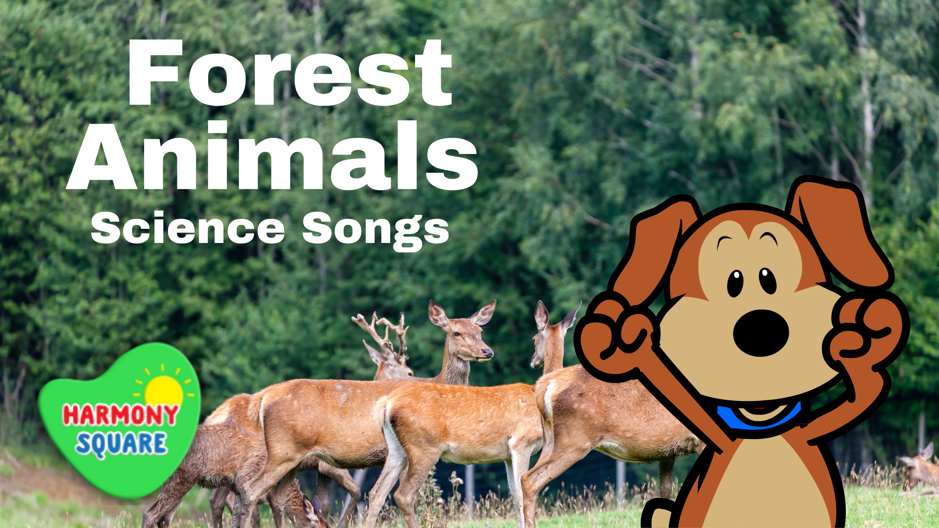 Forest Animals