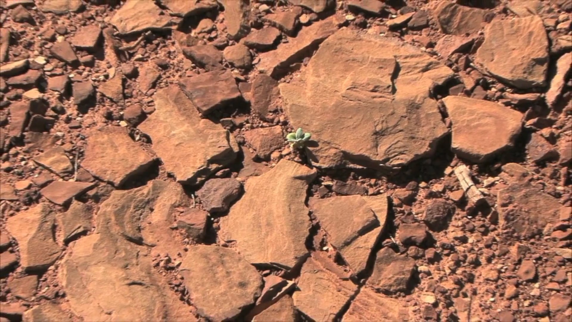 Science_Wind Erosion