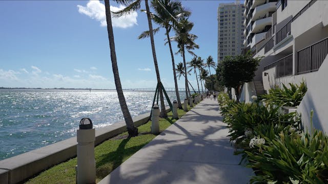 Brickell Key (1.5 mile loop)