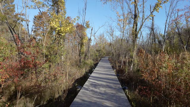 Theodore Roosevelt Island (1.5 mile l...