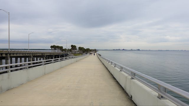 Courtney Campbell Causeway Trail (10....