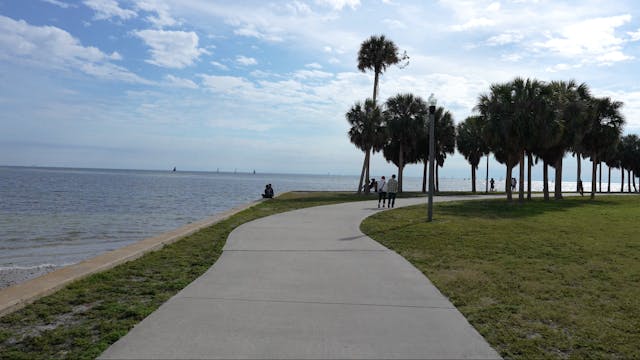 St Pete Shoreline (3.3 miles)