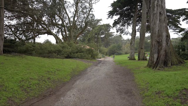 Golden Gate Park - Part 2 (7.5 mile l...