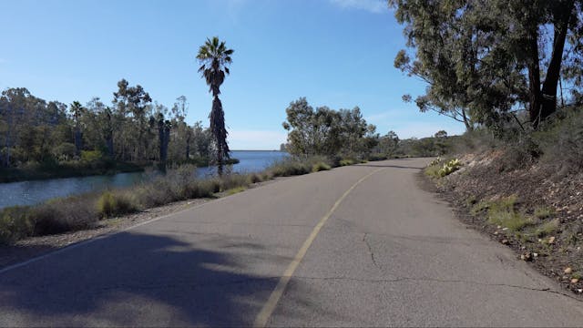 Miramar Reservoir (5 mile loop)