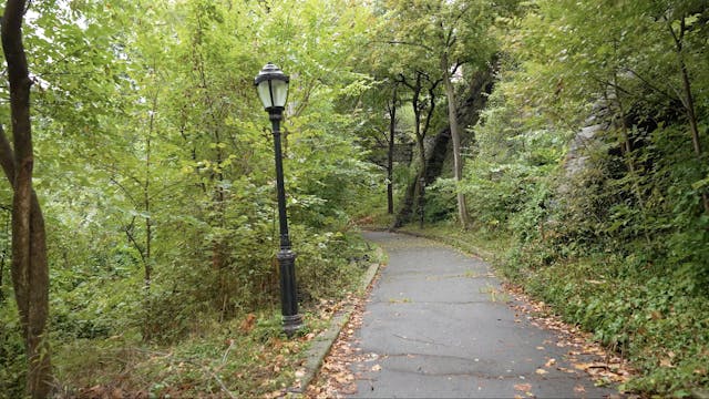 Morningside Park (1.5 mile loop)