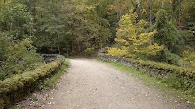 Schenley Park Panther Hallow Trail (1...