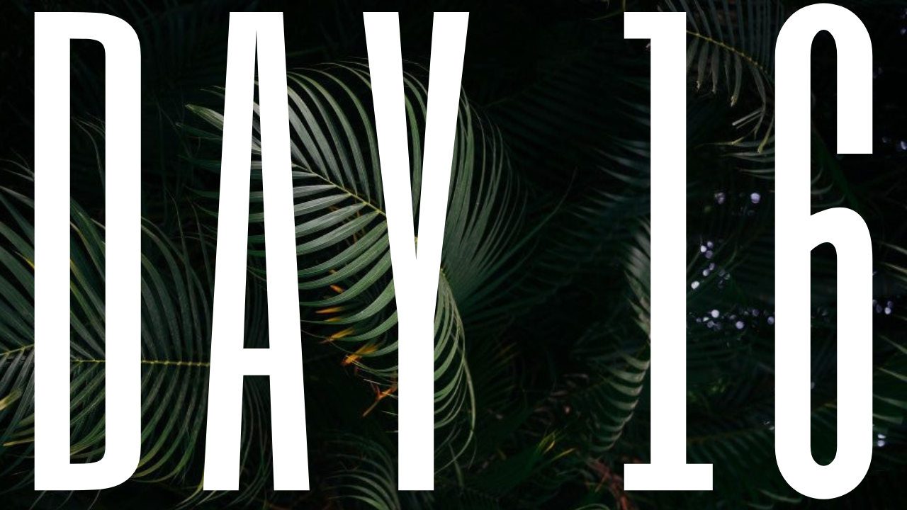 DAY 16