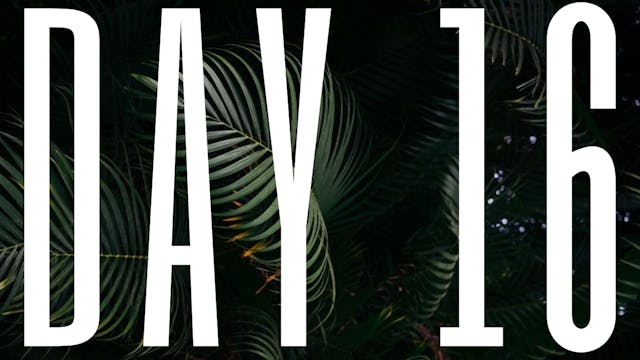 DAY 16