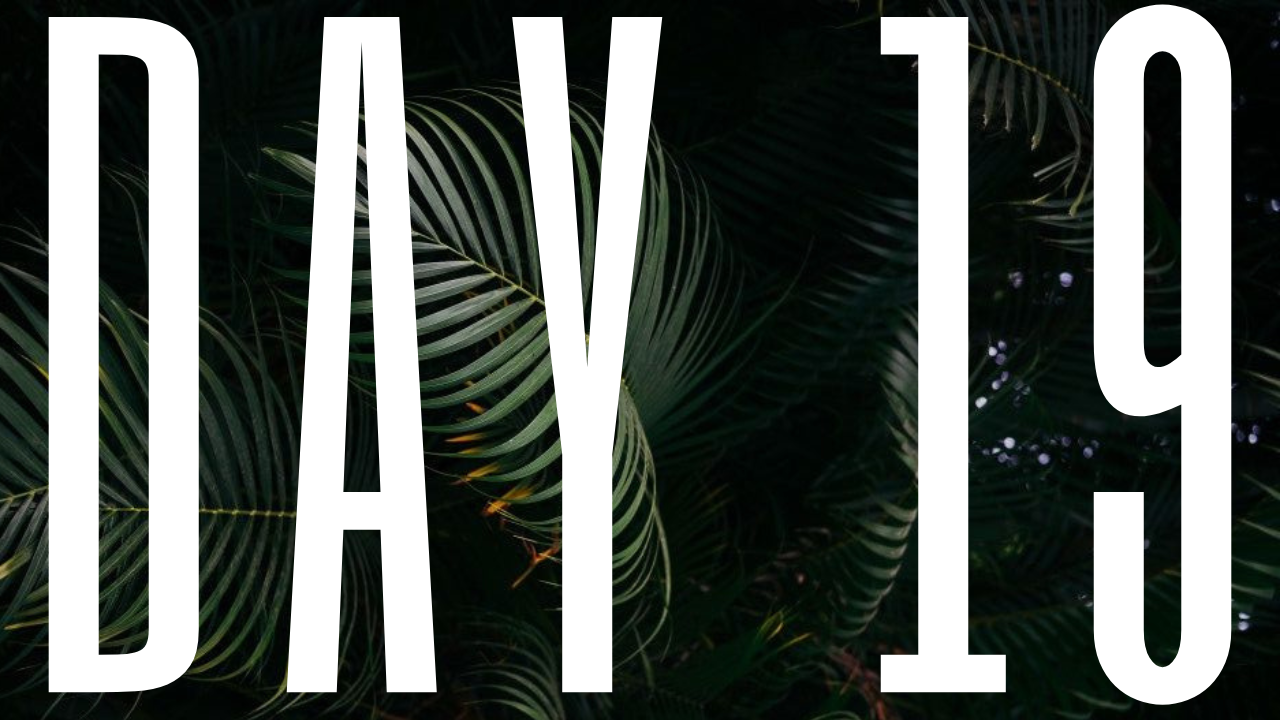 DAY 19