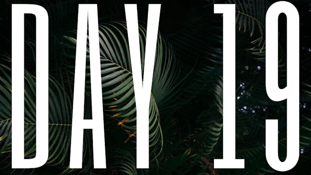 DAY 19